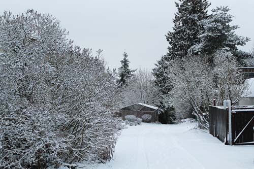 Snow Alley