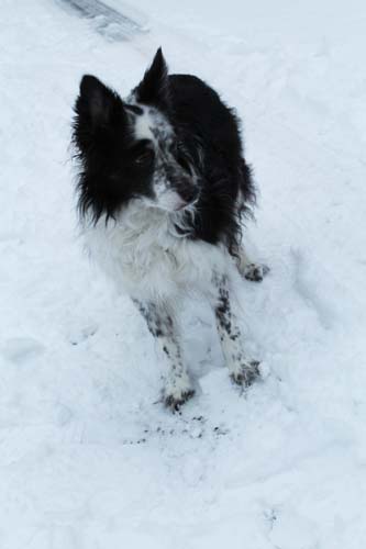 Snow Cuzco 02