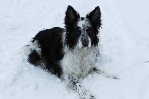 Snow Cuzco 01