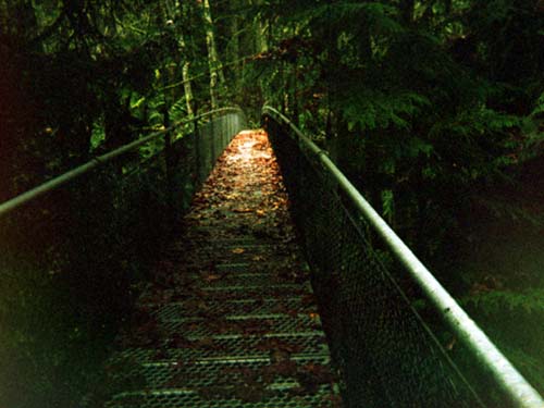 Islandwood Suspension Bridge