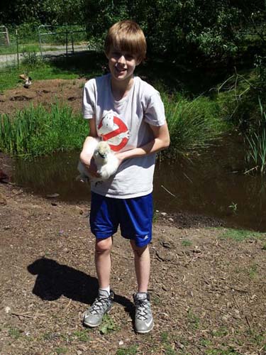 Dane with Silkie Chicken