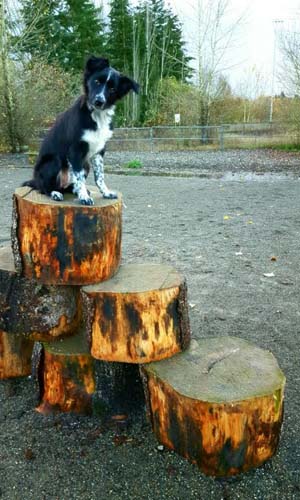 Smudge Magnuson 1