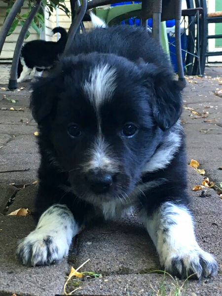 Smudge photo