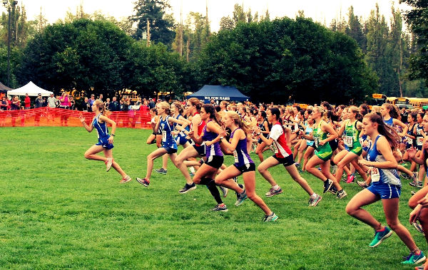 Cross Country 03