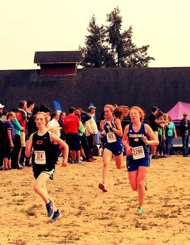 Cross Country 04