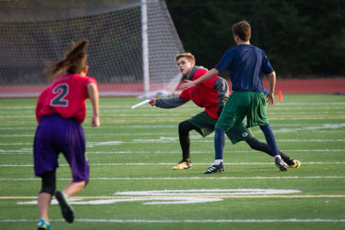JAMS v Hamilton Dane 01
