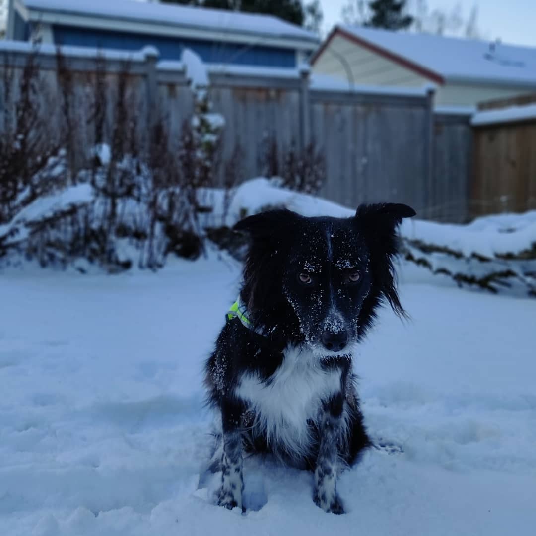 Smudge 8th