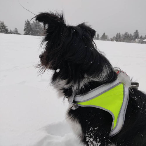 Smudge 9th