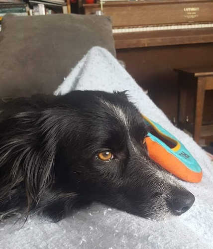Smudge 10th