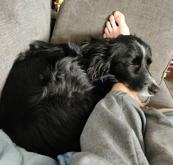 Smudge Nap