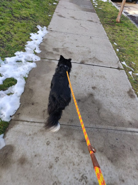 Smudge Leash