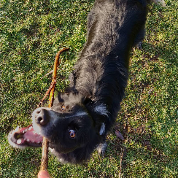 Smudge 01
