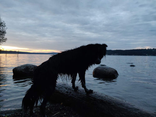 Sandpoint Smudge 02