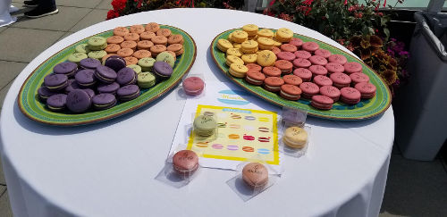 Gilead Summer Lunch 01