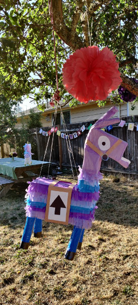 Dane Birthday Party 03