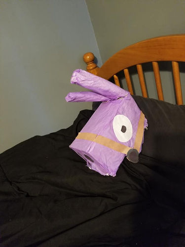 Dane Birthday Party 08 Godfather Llama head