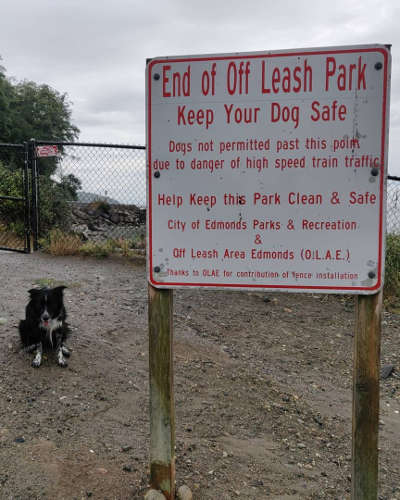 Puget Sound Smudge 02