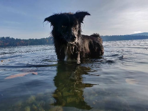 Smudge 03