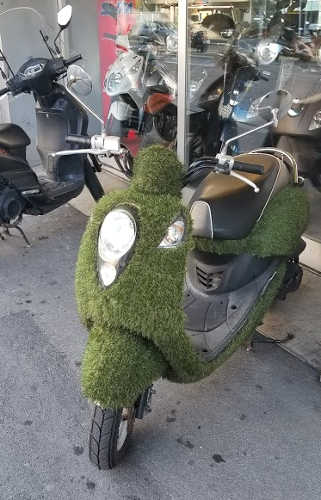 Grassy Scooter