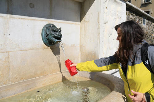 Geneva Water Fountain