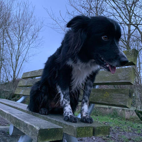 Smudge 12-JAN-2020 01