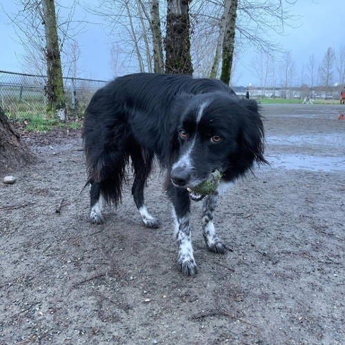 Smudge 12-JAN-2020 02