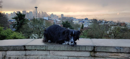 Kerry Park Smudge 01