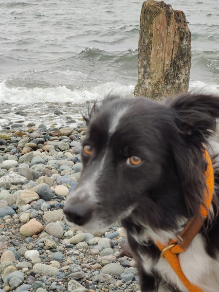 Richmond Beach Saltwater Park Smudge 01