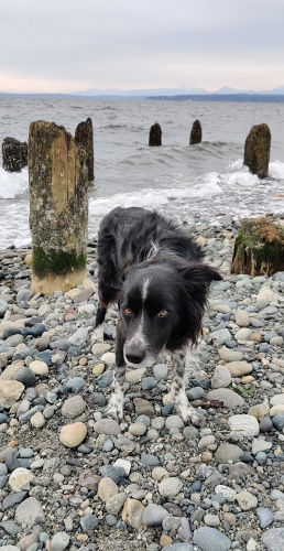 Richmond Beach Saltwater Park Smudge 02