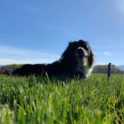 Skagit River Park Smudge 01