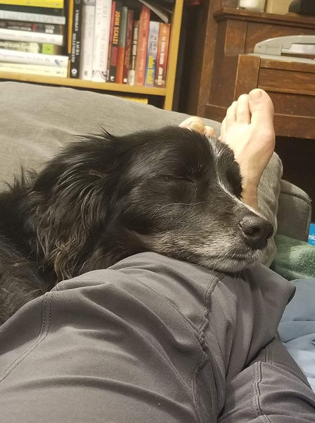 Smudge Sleeping on Feet