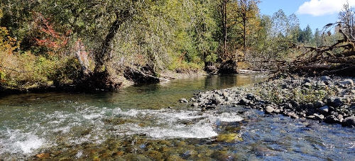 Hamma Hamma River Papa 03