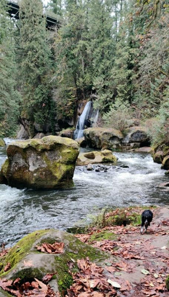 Green River Gorge Smudge