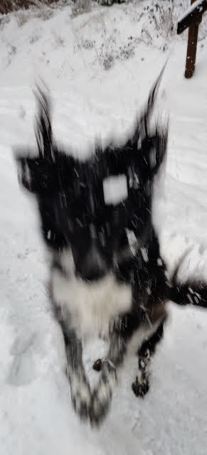 Snow Jumping Smudge
