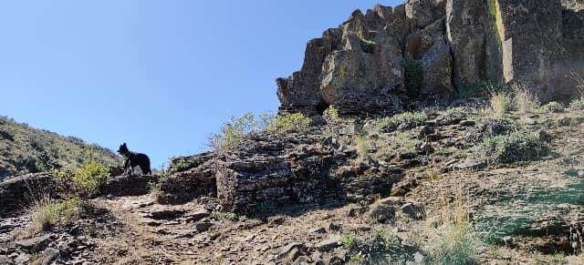 Cowache Canyon Smudge