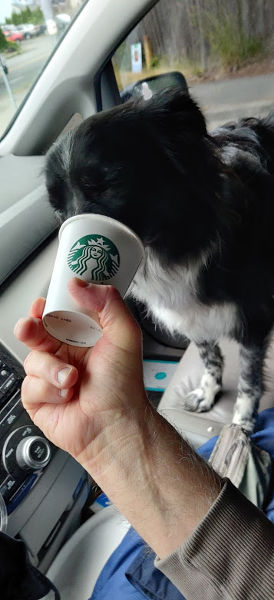 Puppuccino Smudge 02