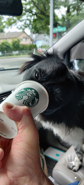 Puppuccino Smudge 03