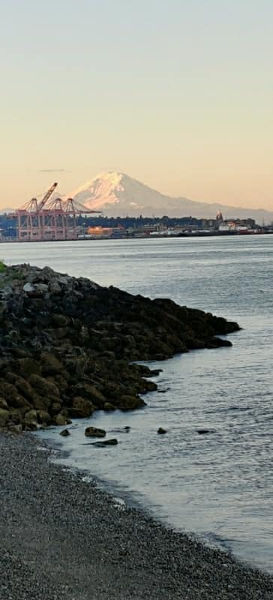 Mt Rainier
