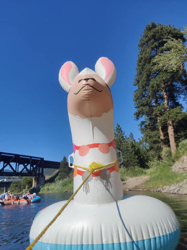 Llama Float