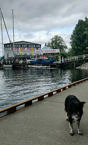 South Lake Union Smudge 04