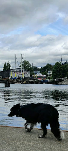 South Lake Union Smudge 01