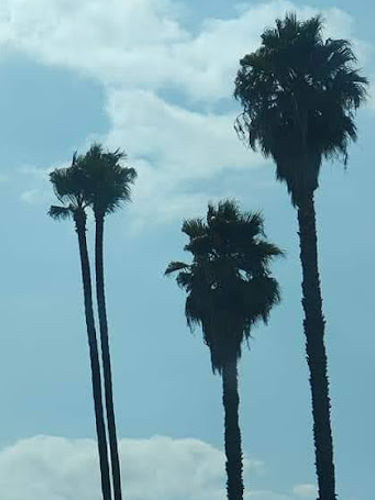 College Visits Dane Isla 05