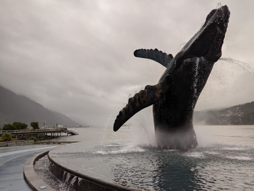 Juneau 20 Humpback Fountain