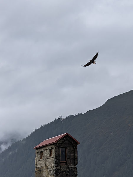 Juneau 35 Treadmill Mine Hike Eagle 01