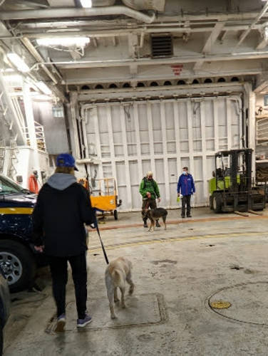 Juneau 46 MV Kennicott Dogs