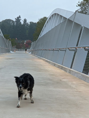 John Lewis Bridge Smudge