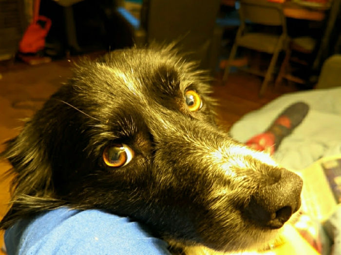 Smudge