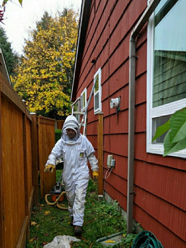Marvin the Bee Guy