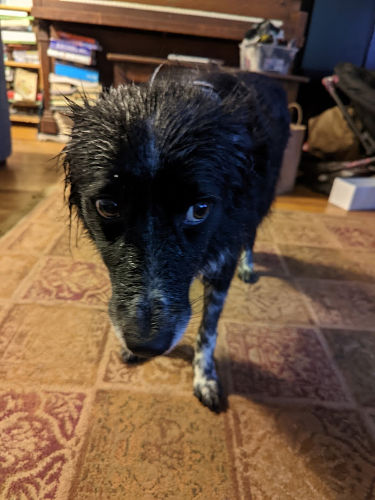 Wet Smudge