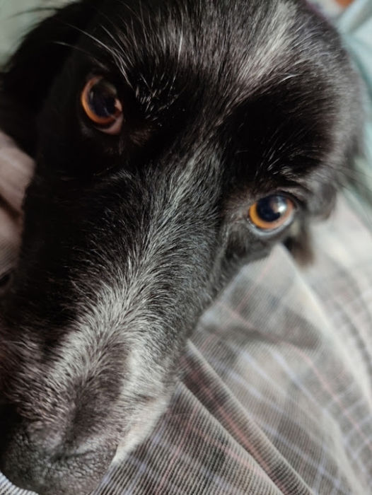 Smudge 01